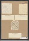 Actinoptychus stella var. thumii A. Schm. (de-Toni-Nr.: Genus 227, Species 5615) Zeichnungen Sammlung Grunow Nr. 9508 (NHMW-BOT-W0379494)
